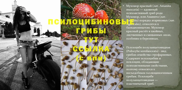 СК Пестово
