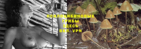 дистиллят марихуана Пересвет